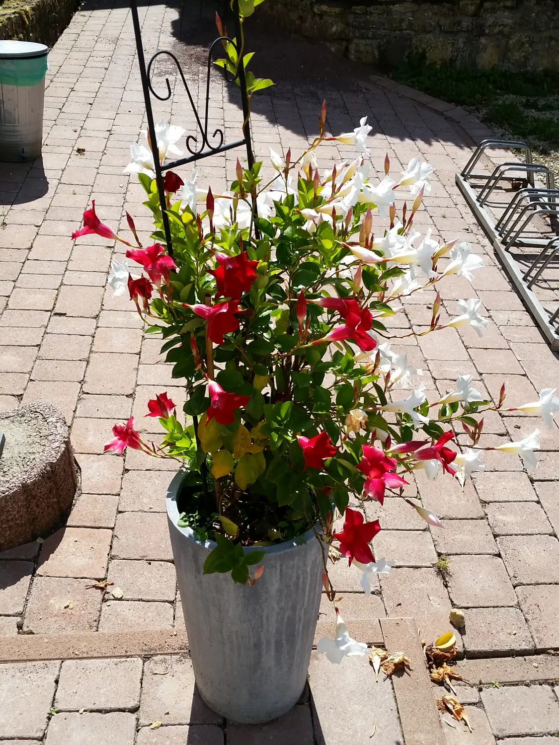 Restaurant Hessmühle Blumen